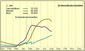 Animation: Wirksamkeit des Drohnenbrutschneidens